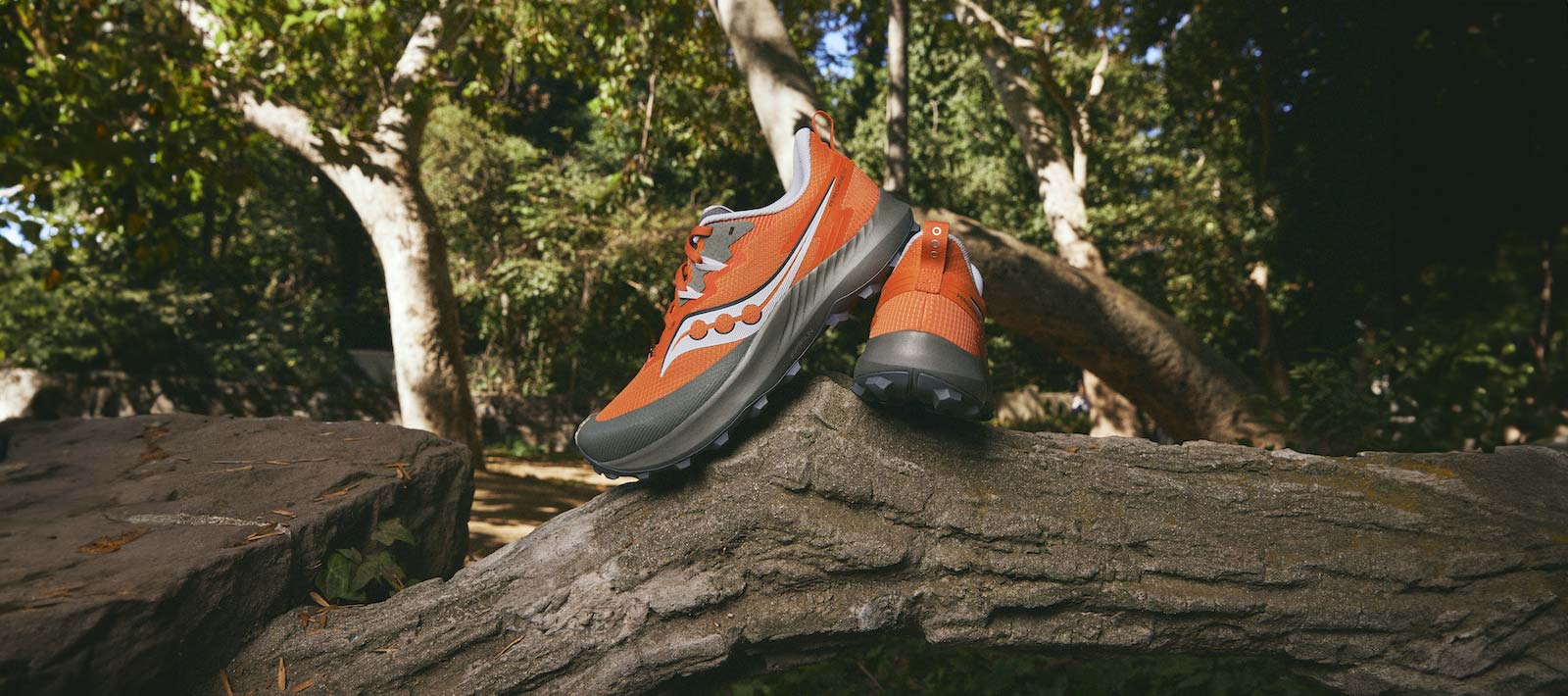 Saucony Peregrine 14