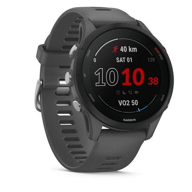 Garmin Forerunner 255 Slate Grey