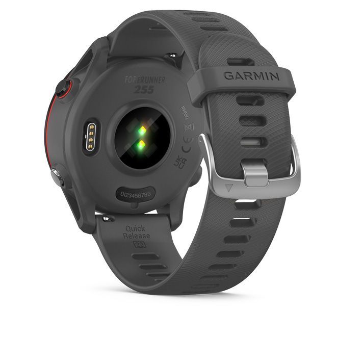 Garmin Forerunner 255 Slate Grey