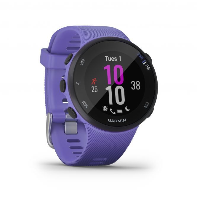 Garmin Forerunner 45S IRIS