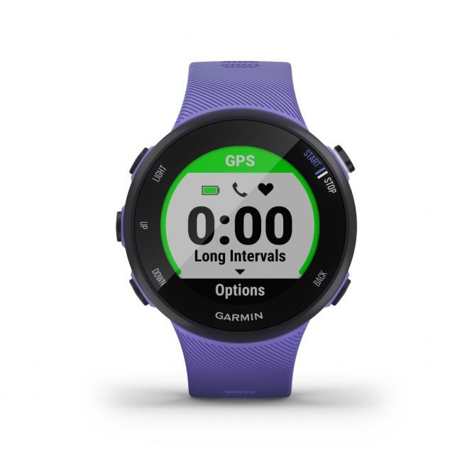 Garmin Forerunner 45S IRIS