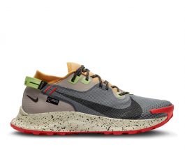 Nike Pegasus Trail 2 Gore-Tex heren