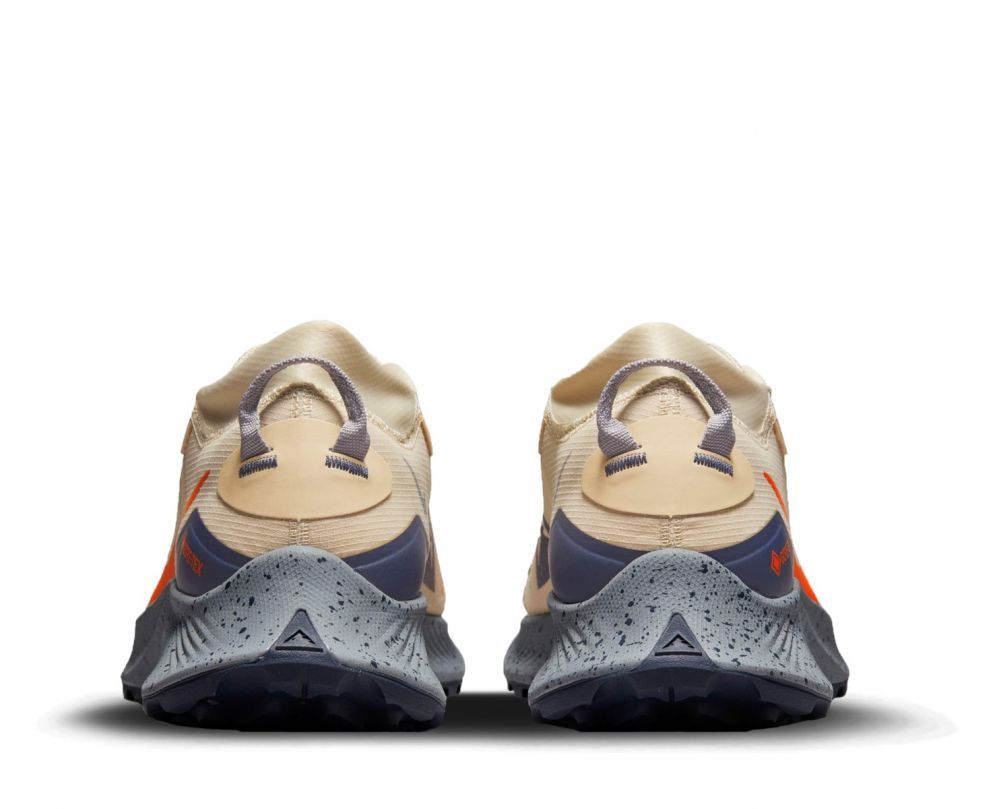 Nike Pegasus Trail 3 GORE-TEX heren