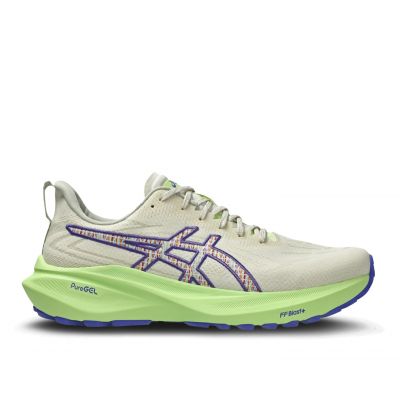 ASICS GT-2000 13 TR heren