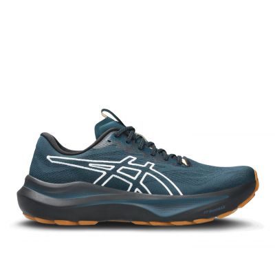 ASICS GT-2000 14 TR heren