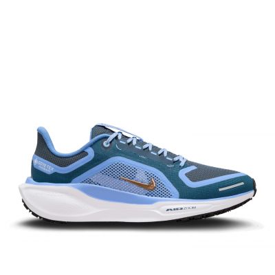 Nike Pegasus 41 GORE-TEX dames