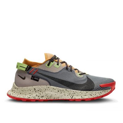 Nike Pegasus Trail 2 Gore-Tex heren