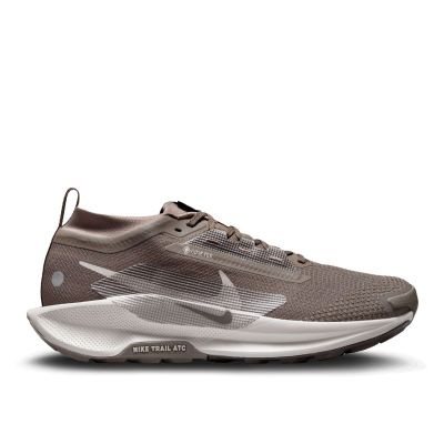 Nike Pegasus Trail 5 GORE-TEX heren