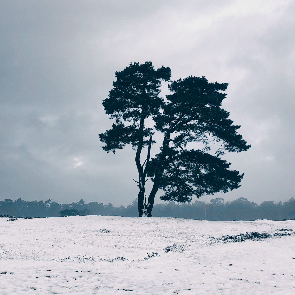 Hardlopen in de sneeuw