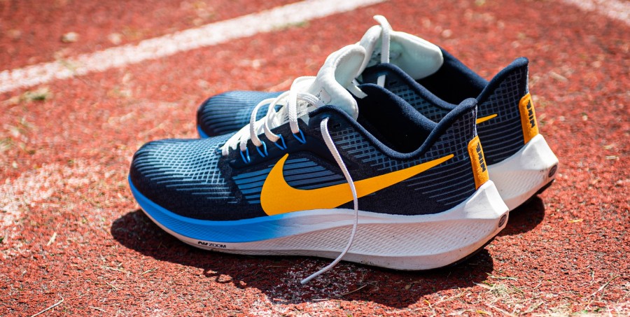 Nike Air Zoom Pegasus 39