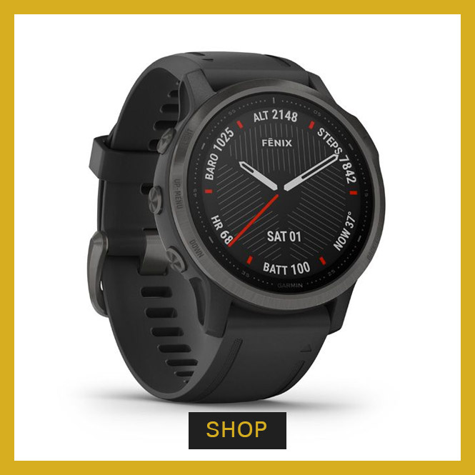 Garmin Fenix 6s