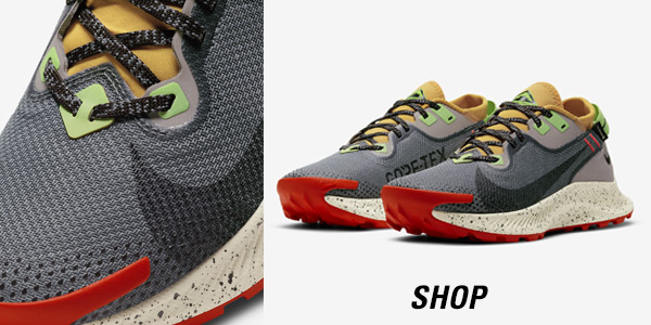 Shop Nike Pegasus Trail 2 Gore-Tex heren